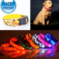 Collier Chien Lumineux Led Waterproof Resistant Leopard Nuit