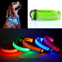 Collier Chien Lumineux Led Promenade tranquille Nuit