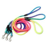 Laisse Chien Nylon Multicolore Fun Promenade Dog